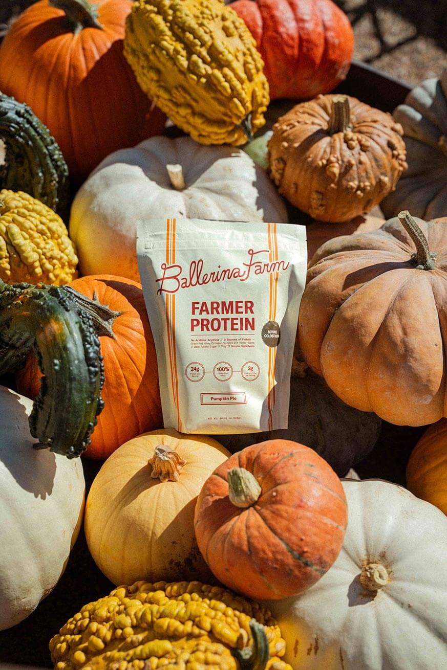 Pumpkin Pie Farmer Protein (Seasonal)
